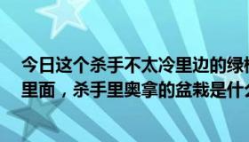 今日这个杀手不太冷里边的绿植（电影《这个杀手不太冷》里面，杀手里奥拿的盆栽是什么植物）