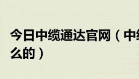 今日中缆通达官网（中缆在线这个网站是干什么的）