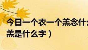 今日一个衣一个羔念什么字（一个衣字旁一个羔是什么字）