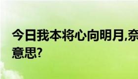 今日我本将心向明月,奈何明月照沟渠!是什么意思?