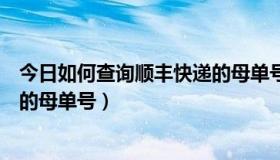 今日如何查询顺丰快递的母单号是什么（如何查询顺丰快递的母单号）