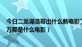 今日二龙湖浩哥出什么新电影了（二龙湖浩哥一场输掉500万那是什么电影）