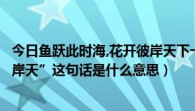 今日鱼跃此时海,花开彼岸天下一句（“鱼跃此时海，花开彼岸天”这句话是什么意思）