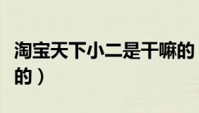 淘宝天下小二是干嘛的（淘宝天下小二是干嘛的）