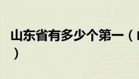 山东省有多少个第一（山东省有多少个地级市）