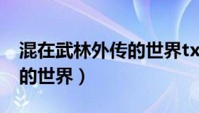 混在武林外传的世界txt下载（混在武林外传的世界）