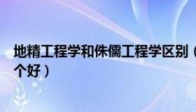 地精工程学和侏儒工程学区别（地精工程学和侏儒工程学哪个好）