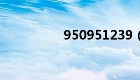 950951239（95095）