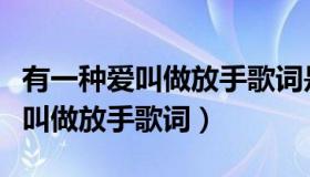 有一种爱叫做放手歌词是什么意思（有一种爱叫做放手歌词）