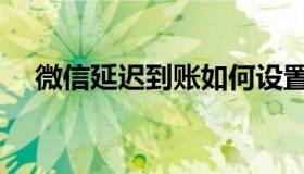 微信延迟到账如何设置（微信延迟到账）