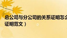 总公司与分公司的关系证明怎么写（总公司与分公司的关系证明范文）