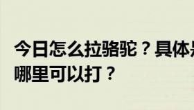 今日怎么拉骆驼？具体是什么条件？骷髅王在哪里可以打？