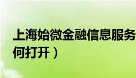 上海始微金融信息服务有限公司（shs文件如何打开）