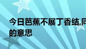 今日芭蕉不展丁香结,同的意思向春风各自愁的意思