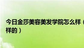 今日金莎美容美发学院怎么样（广州金莎学院这间学校怎么样的）