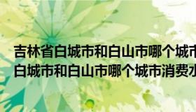 吉林省白城市和白山市哪个城市消费水平高一些呀（吉林省白城市和白山市哪个城市消费水平高一些）