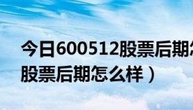 今日600512股票后期怎么样交易（600512股票后期怎么样）