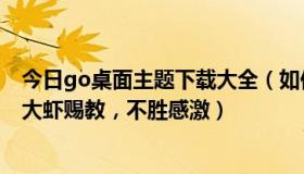 今日go桌面主题下载大全（如何安装GO桌面主题包，哪位大虾赐教，不胜感激）