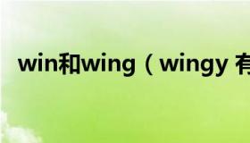 win和wing（wingy 有windows版本吗）