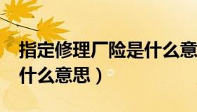 指定修理厂险是什么意思?（指定修理厂险是什么意思）