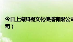 今日上海知视文化传播有限公司（上海视野知成管理咨询公司）