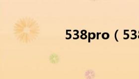 538pro（538任你日）