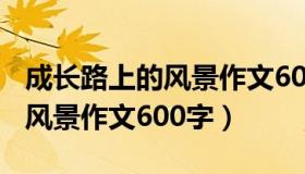 成长路上的风景作文600字提纲（成长路上的风景作文600字）