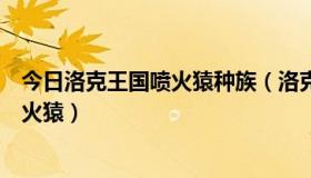 今日洛克王国喷火猿种族（洛克王国火焰猿咋多远进化成喷火猿）