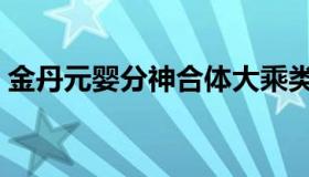 金丹元婴分神合体大乘类的小说（金丹元婴）