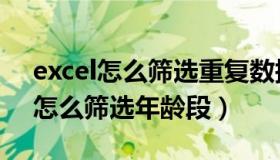 excel怎么筛选重复数据并合并求和（excel怎么筛选年龄段）