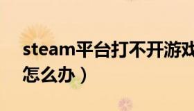 steam平台打不开游戏（steam平台打不开怎么办）