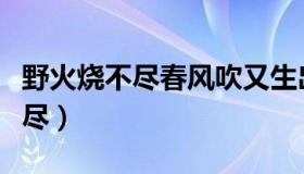 野火烧不尽春风吹又生出自哪首诗（野火烧不尽）