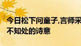 今日松下问童子,言师采药去,只在此山中,云深不知处的诗意