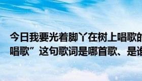 今日我要光着脚丫在树上唱歌的歌（“想要光着脚丫在树上唱歌”这句歌词是哪首歌、是谁唱的）