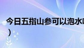 今日五指山参可以泡水喝吗（五指山参怎么吃）