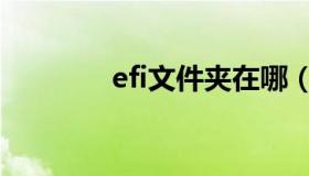 efi文件夹在哪（efi文件夹）