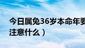 今日属兔36岁本命年要注意什么（本命年要注意什么）