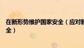 在新形势维护国家安全（应对新形势新挑战切实维护国家安全）