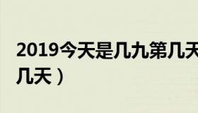 2019今天是几九第几天（2019今天是几九第几天）