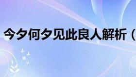 今夕何夕见此良人解析（今夕何夕见此良人）