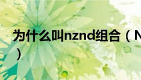 为什么叫nznd组合（NZND是一个什么组合）