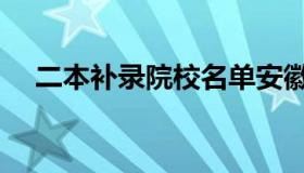 二本补录院校名单安徽（二本补录院校）