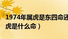 1974年属虎是东四命还是西四命（1974年属虎是什么命）