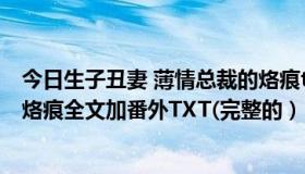 今日生子丑妻 薄情总裁的烙痕txt（求生子丑妻:薄情总裁的烙痕全文加番外TXT(完整的）