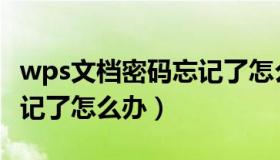 wps文档密码忘记了怎么解（wps文档密码忘记了怎么办）