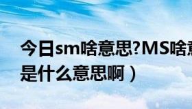 今日sm啥意思?MS啥意思?（MS和SM分别是什么意思啊）