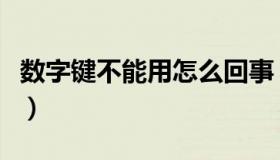 数字键不能用怎么回事（数字键不能用怎么办）