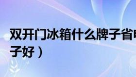 双开门冰箱什么牌子省电（双开门冰箱什么牌子好）