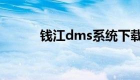 钱江dms系统下载（钱江dms）