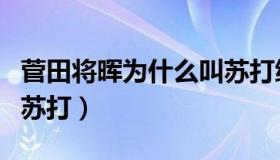 菅田将晖为什么叫苏打绿（菅田将晖为什么叫苏打）